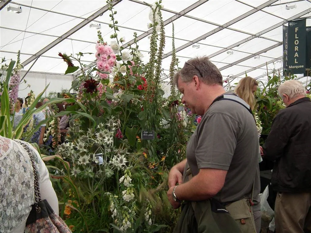 Floral marquee in the long water area 8